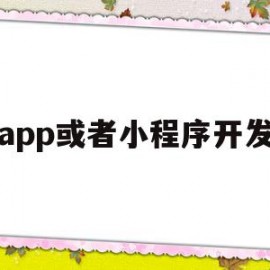 app或者小程序开发(app小程序开发找哪家)