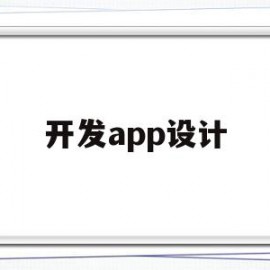 开发app设计(开发app设计方案)