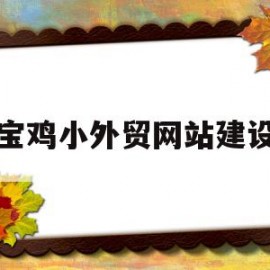 宝鸡小外贸网站建设(宝鸡综合保税区跨境商品展示交易中心)