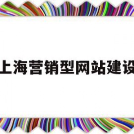 上海营销型网站建设(上海营销型网站建设公司)