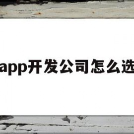 app开发公司怎么选(开发app的公司是怎样赚钱的)