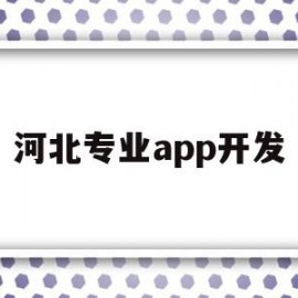 河北专业app开发(河北专业app开发公司)