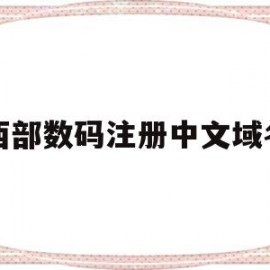 西部数码注册中文域名(西部数码注册域名怎么样)