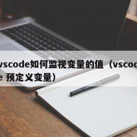 vscode如何监视变量的值（vscode 预定义变量）