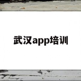 武汉app培训(武汉最好的软件培训)