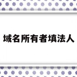 域名所有者填法人(域名所有者是填写公司还是个人名称)