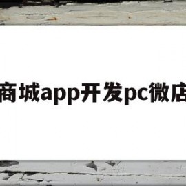 商城app开发pc微店的简单介绍