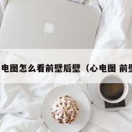 心电图怎么看前壁后壁（心电图 前壁）