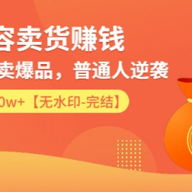 内容卖货赚钱：0基础打造卖爆品，普通人逆袭，每月躺赚10w+