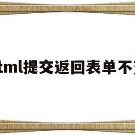 html提交返回表单不变(HTML中form表单数据提交方式)