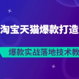 2022淘宝天猫爆款打造系列课：爆款实战落地技术教程（价值1980元）