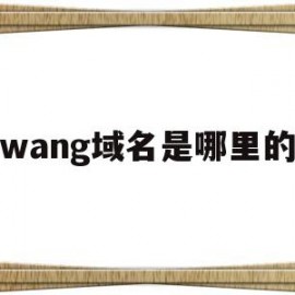 wang域名是哪里的(wang域名有哪些著名网站)