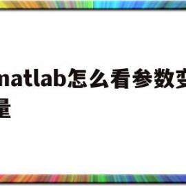 matlab怎么看参数变量(matlab怎么查看变量)