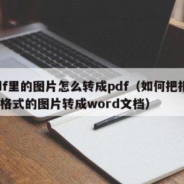 pdf里的图片怎么转成pdf（如何把把pdf格式的图片转成word文档）