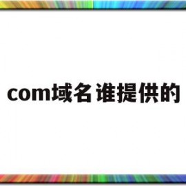 关于com域名谁提供的的信息