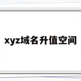 xyz域名升值空间(域名xyz是什么意思)