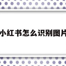 小红书怎么识别图片(小红书怎么识别图片的来源呢)