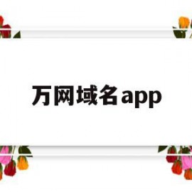 万网域名app(万网域名注册官网阿里云)