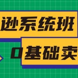 2020年最新亚马逊培训课程：亚马逊新手开店+选品与站内运营+站外引流