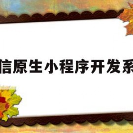 微信原生小程序开发系统(微信小程序原生框架叫什么)