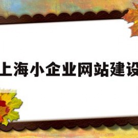 上海小企业网站建设(上海小微企业服务平台)