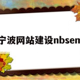 宁波网站建设nbsem的简单介绍