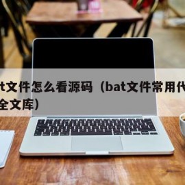 bat文件怎么看源码（bat文件常用代码大全文库）