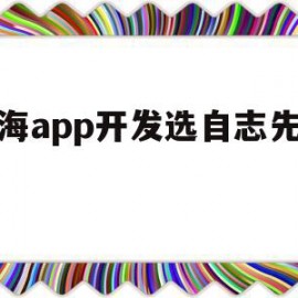 包含上海app开发选自志先科技的词条