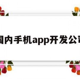 国内手机app开发公司(开发手机app的上市公司)