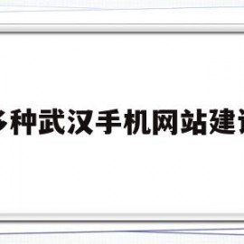 多种武汉手机网站建设(武汉网站建设公司排行榜)