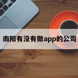 南阳有没有做app的公司(南阳有没有做app的公司有哪些)