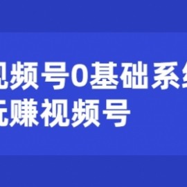 视频号0基础系统性玩赚视频号内容运营+引流+快速变现