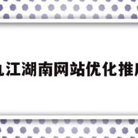 关于九江湖南网站优化推广的信息