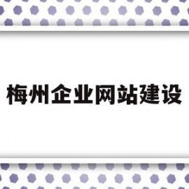 梅州企业网站建设(梅州企业信息公示网)