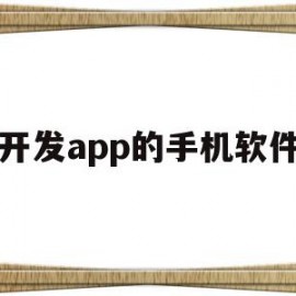 开发app的手机软件(用手机开发app的软件)