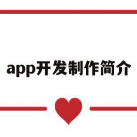 app开发制作简介(app开发制作简介怎么写)