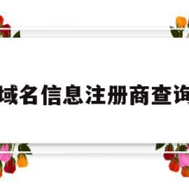 域名信息注册商查询(域名注册信息查询whois)