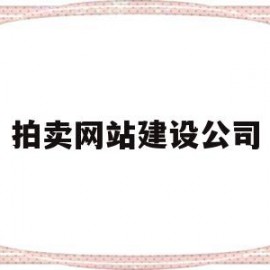 拍卖网站建设公司(网站建设网络推广公司)