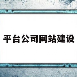 平台公司网站建设(平台网站建设有哪些)