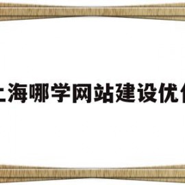 上海哪学网站建设优化(上海网站排名优化怎么做)