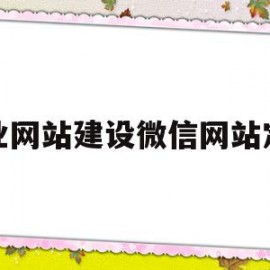 专业网站建设微信网站定制的简单介绍