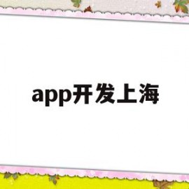 app开发上海(app开发上海公司)