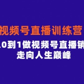 视频号直播训练营，素人从0到1做视频号直播销量百万，走向人生巅峰