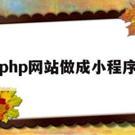 php网站做成小程序(php网站做成小程序的软件)