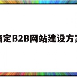 确定B2B网站建设方案(b2b网站模式)