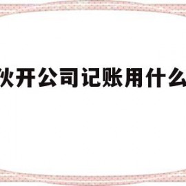 合伙开公司记账用什么app(合伙企业记账什么软件简单好用)