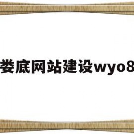 娄底网站建设wyo8(娄底网站建设优化诊断服务)