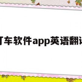 打车软件app英语翻译(打车软件app英语翻译是什么)