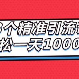 13个精准引流课程，轻松一天1000+IP