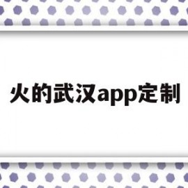 火的武汉app定制(武汉制作app的公司)